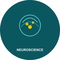 The Wealth Signal Neuroscience Backed